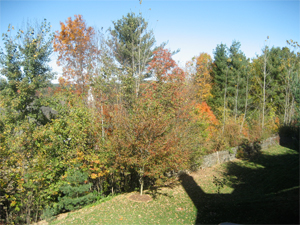 fall2008