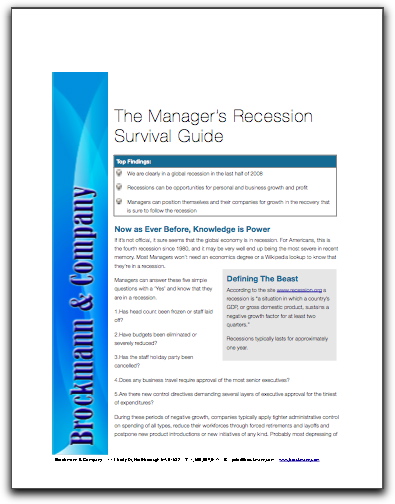 recessionsurvivalguide